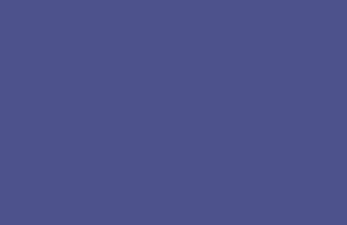 RAL 290 30 40