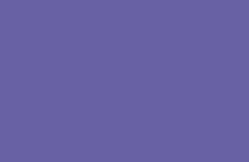 RAL 300 40 45