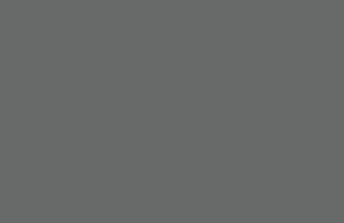 BASALT N499