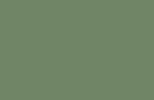 RAL 140 50 20