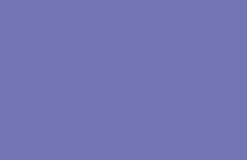 RAL 290 50 35