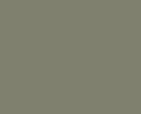 RAL 110 50 10