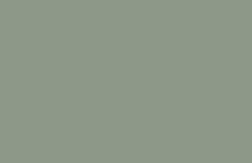 RAL 140 60 10