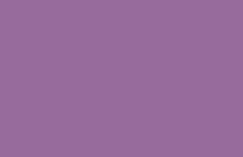 RAL 330 50 35