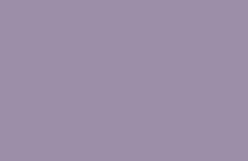 RAL 310 60 15
