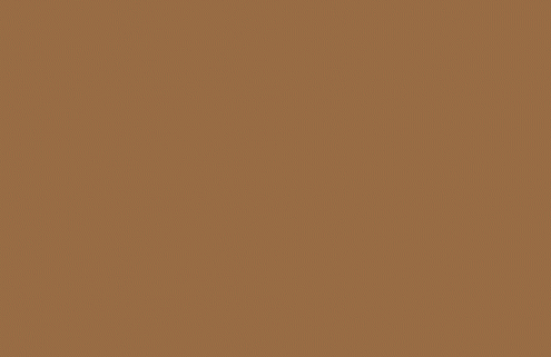 BS381c 320 Light brown