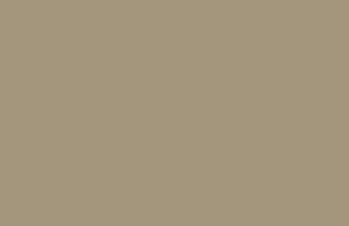 RAL 1019 Grey beige