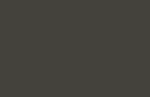 RAL 6006 Grey olive