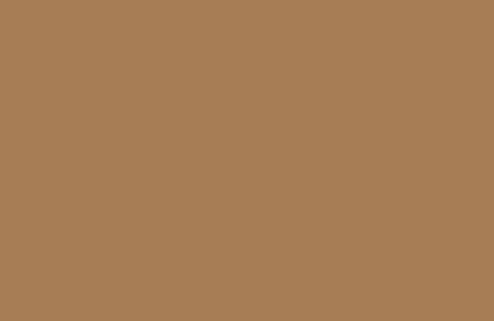 SYRUP S396
