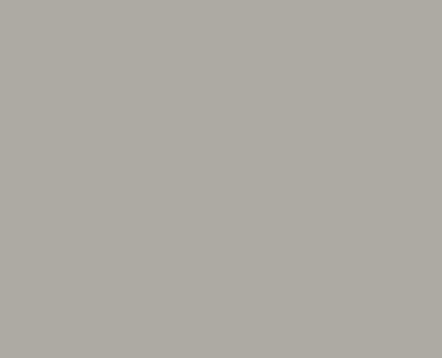 ASH M497