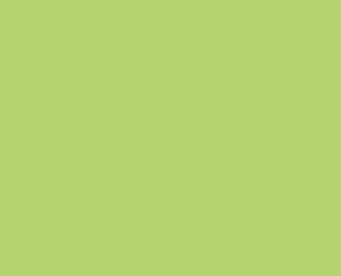 RAL 120 80 50