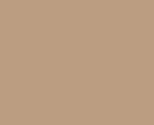 DESERT V463