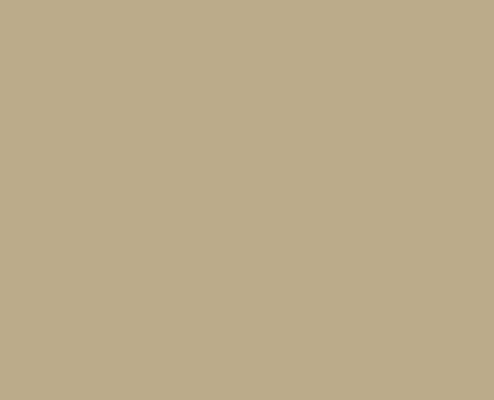 RAL 085 70 20
