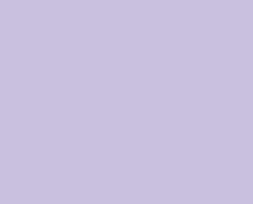 RAL 300 80 15