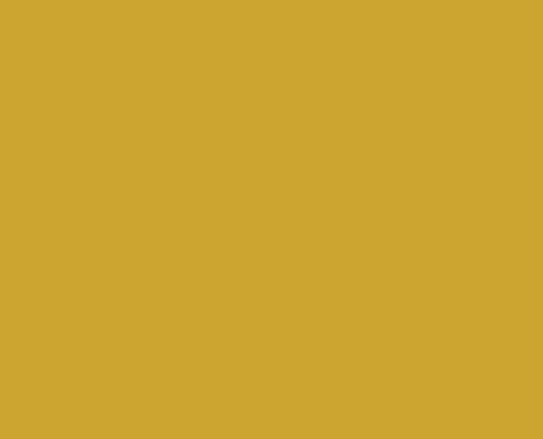 RAL 085 70 70